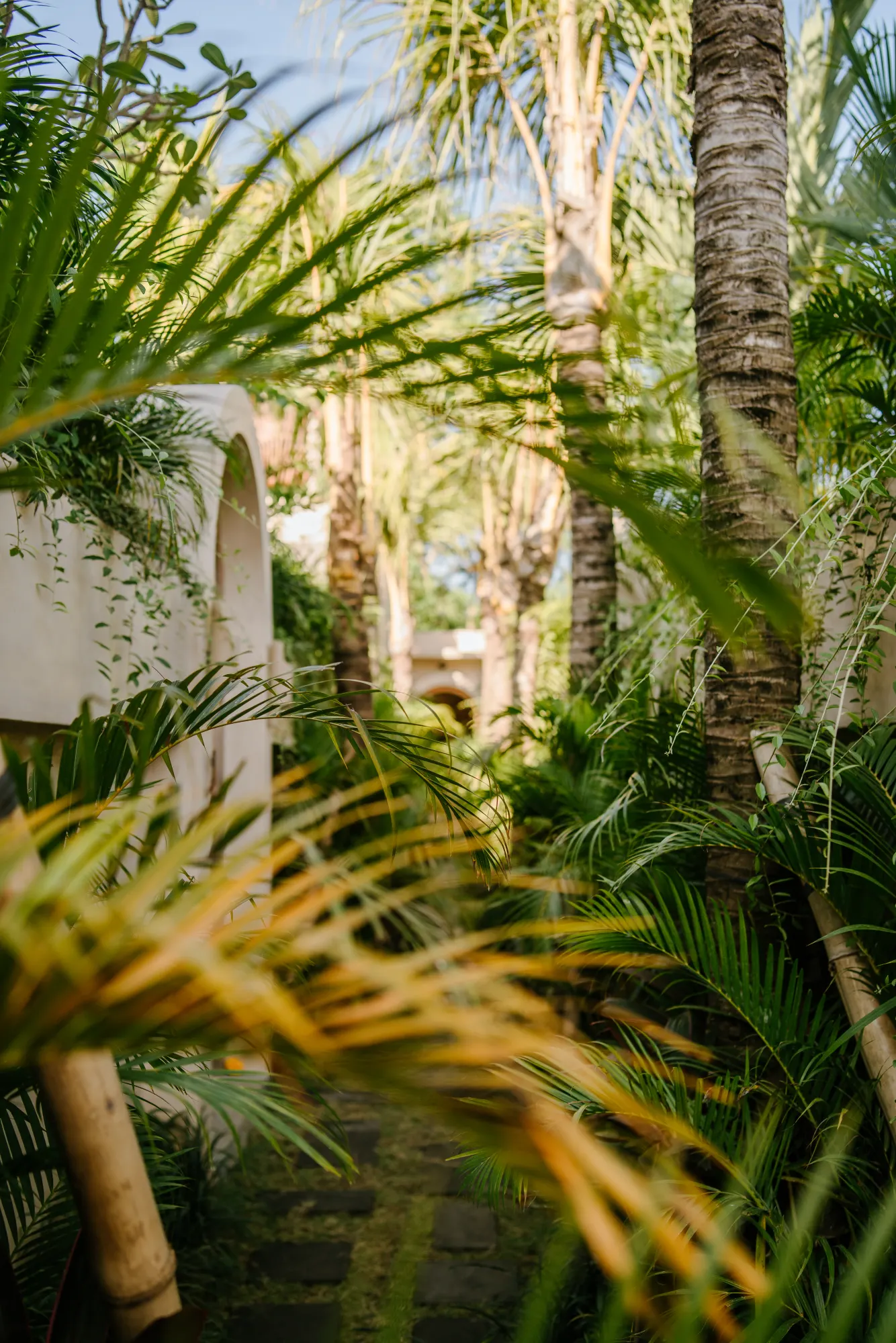Garden pathway with tall palms and white villa architecture