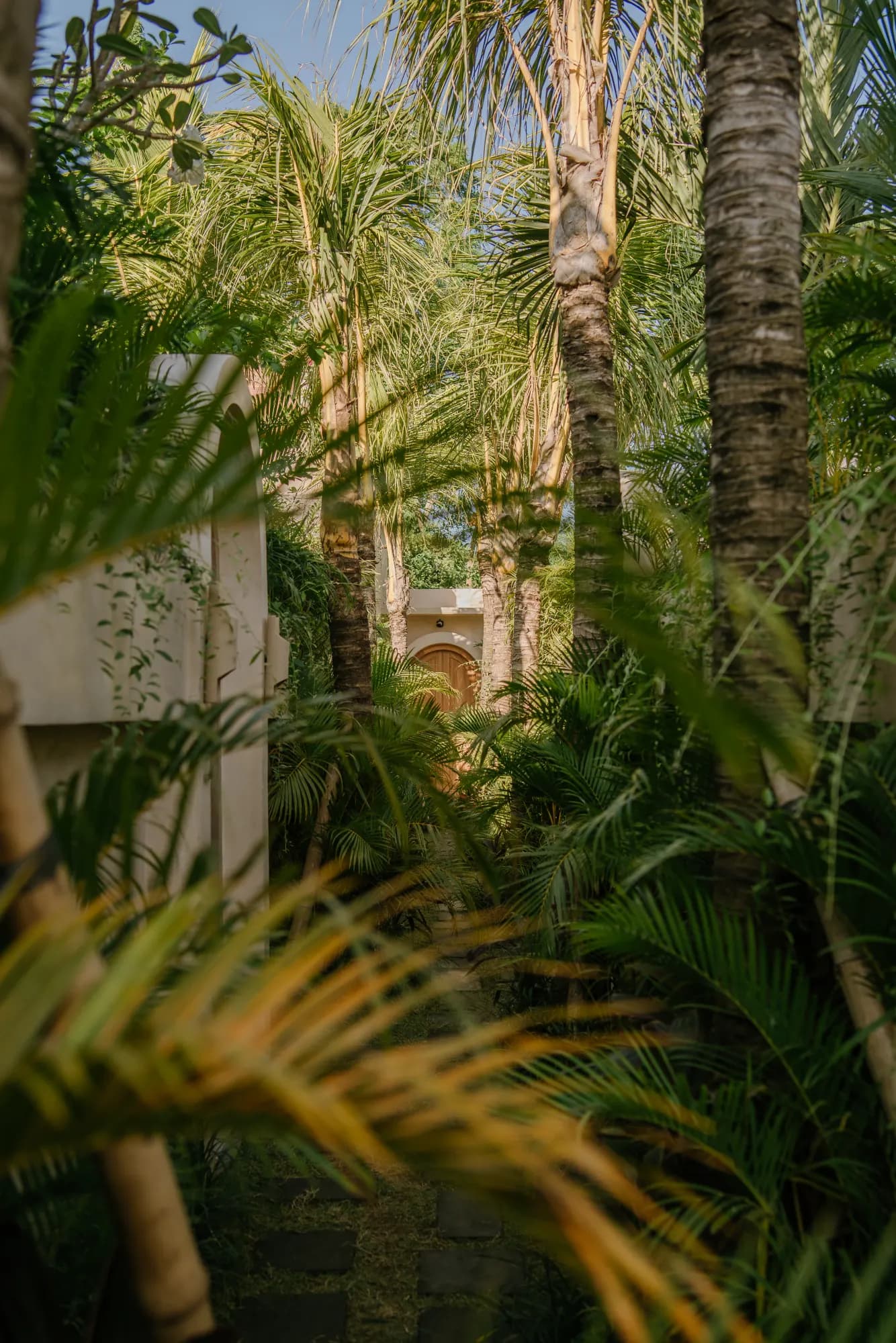 Garden pathway framed by lush palm trees and whitewashed walls