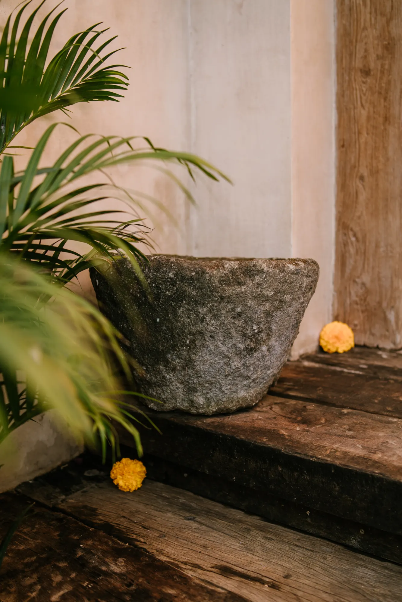 Stone mortar bowl with palm plant on wooden deck