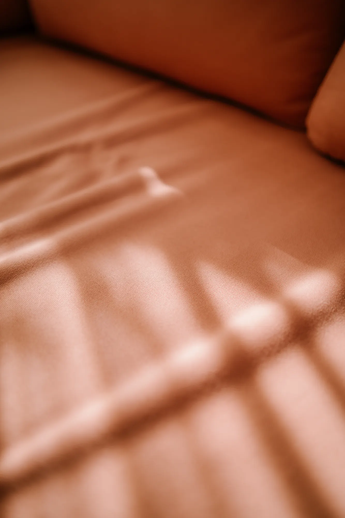 Close-up of soft coral cushions on modern seating arrangement