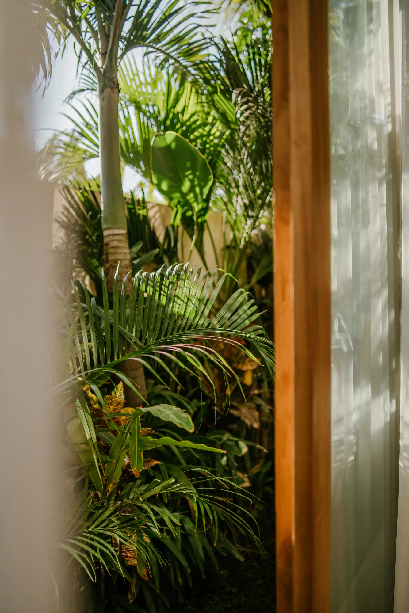 Interior corridor with dense tropical plants visible through window