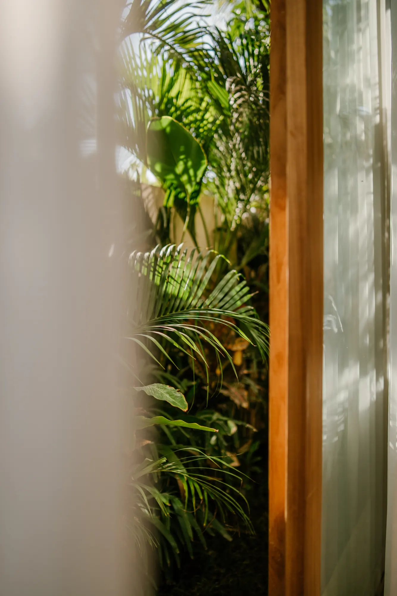Window frame framing lush green vegetation and natural light