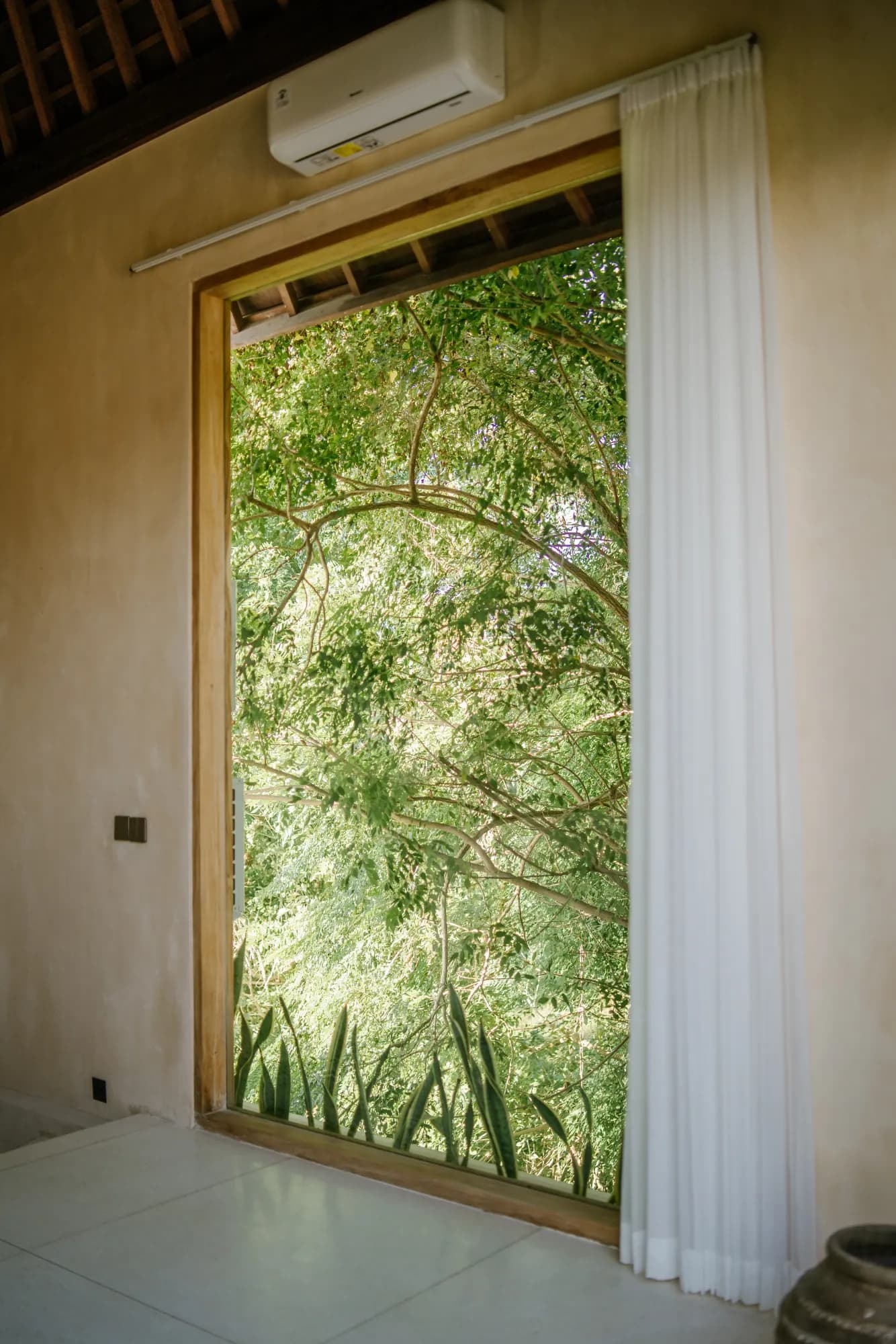 Interior window view onto lush green foliage and plants