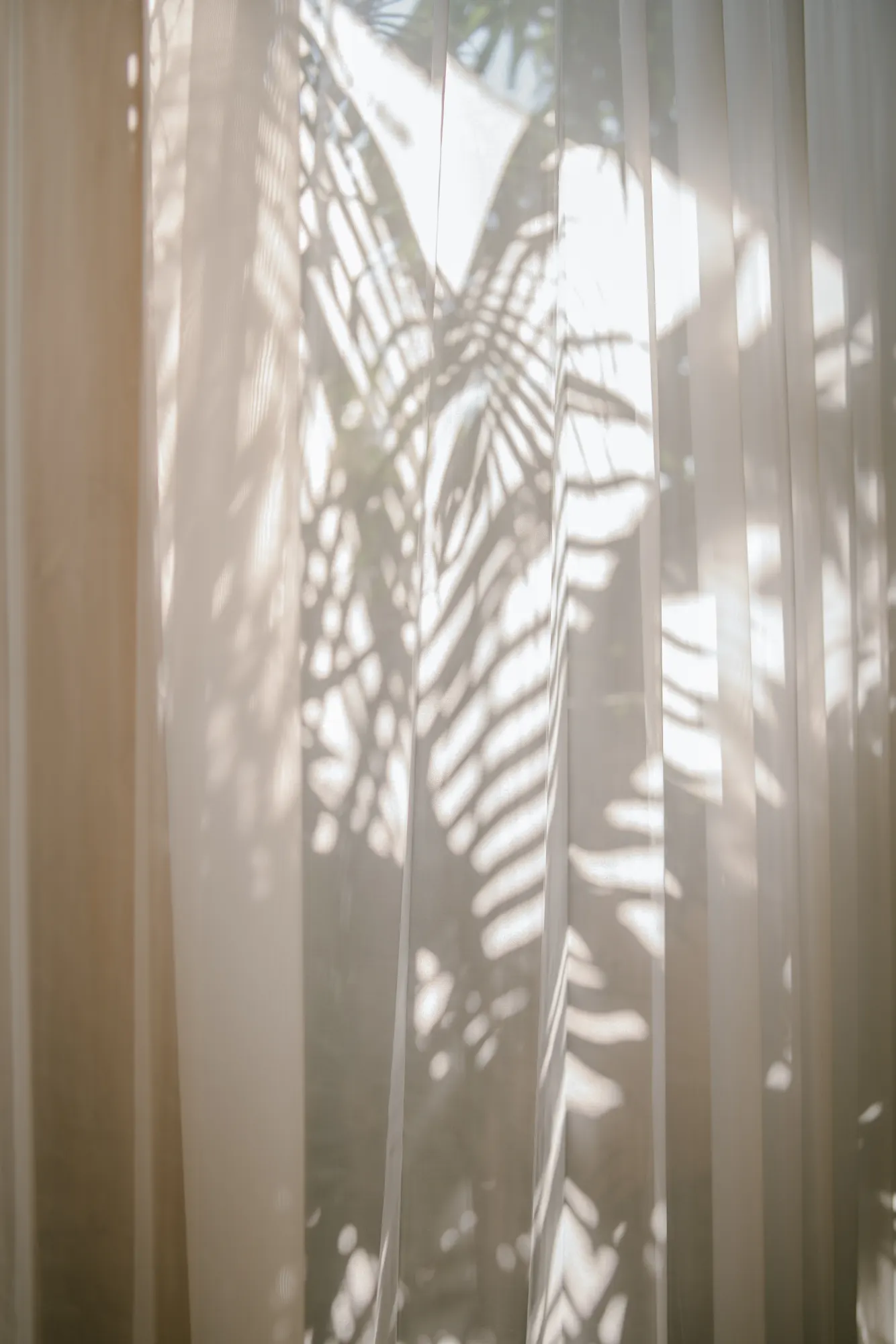 Sheer curtains with tropical plant shadows