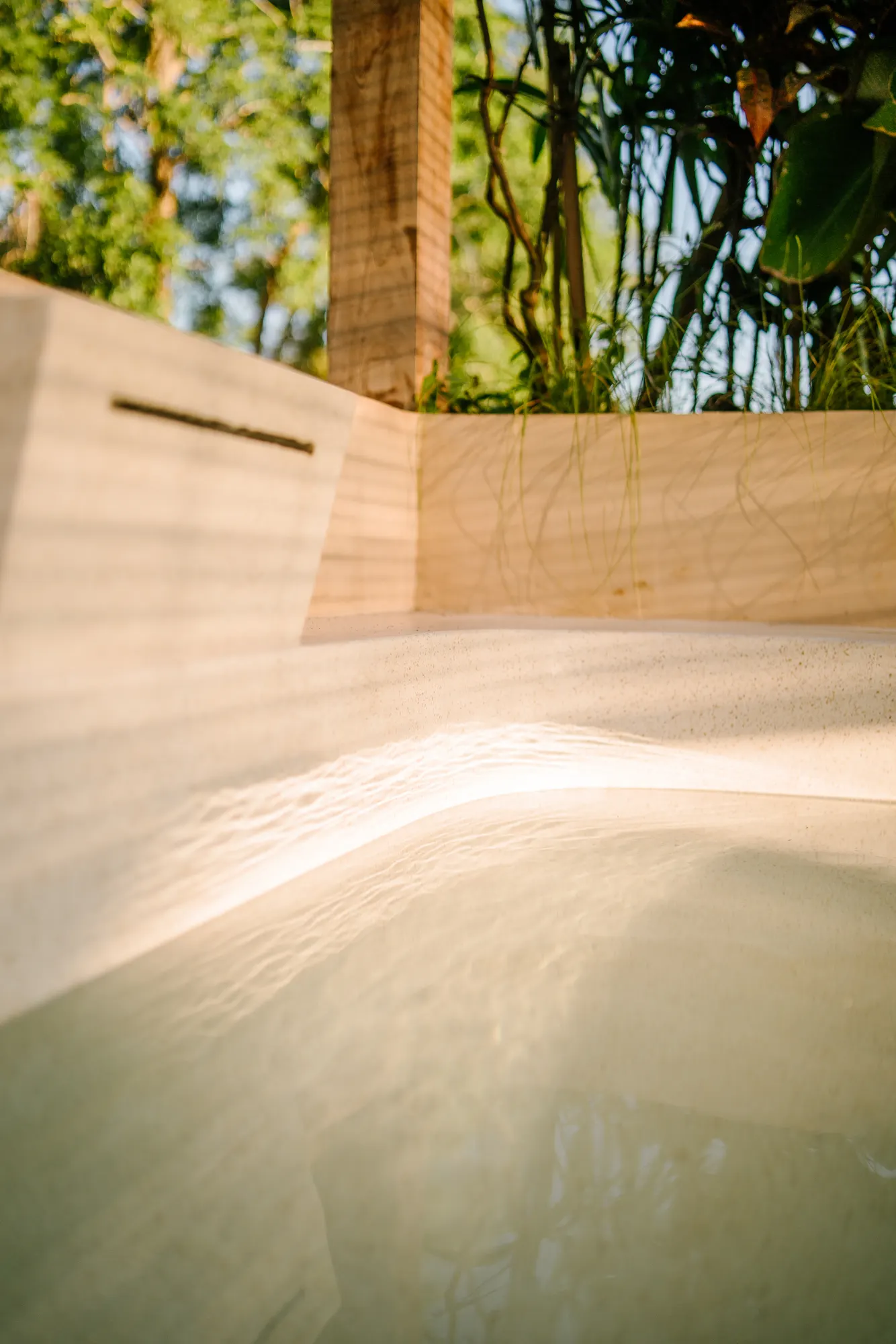 Pool edge detail with water reflection and lush palm canopy above